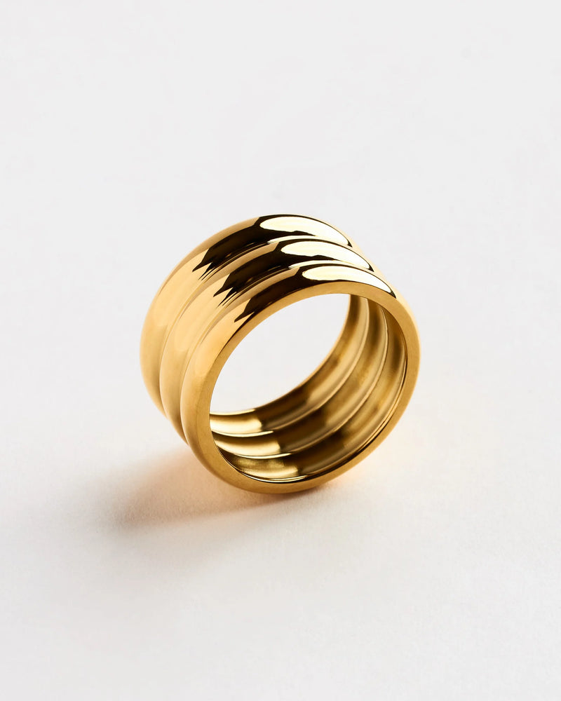 Aris Ring